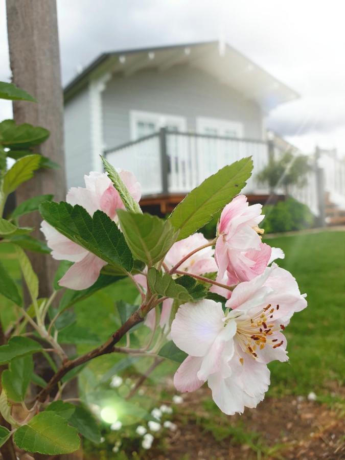Dangerfield Oaks Boutique Cottage's Mudgee