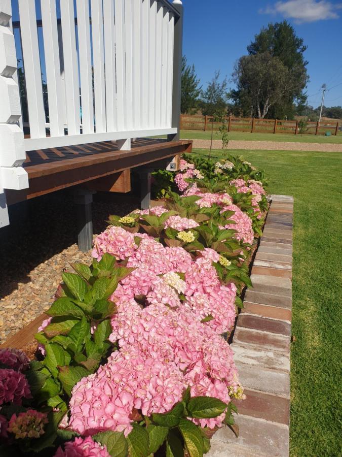 Dangerfield Oaks Boutique Cottage's *